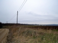 DSC_1406 - Copy.JPG