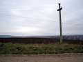 DSC_1407 - Copy.JPG