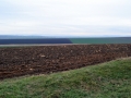 DSC_1421 - Copy.JPG