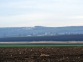 DSC_1422 - Copy.JPG