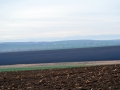 DSC_1423 - Copy.JPG