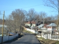 DSC_1546 - Copy.JPG