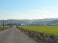 DSC_1552 - Copy.JPG