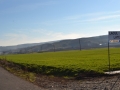 DSC_1554 - Copy.JPG