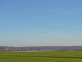 DSC_1556.JPG
